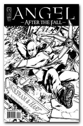 Angel After the Fall #4 (2007) variant a
