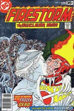 Firestorm #3 (1978)