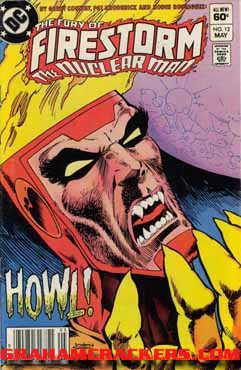 Fury of Firestorm #12 (1982)
