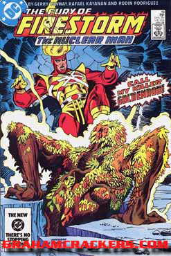 Fury of Firestorm #19 (1982)