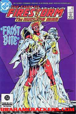 Fury of Firestorm #20 (1982)