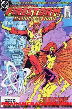 Fury of Firestorm #22 (1982)