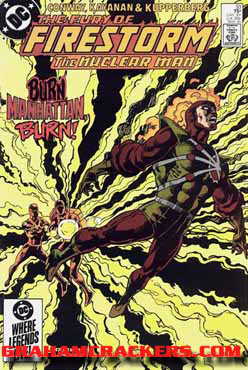Fury of Firestorm #33