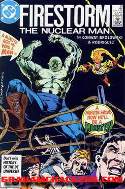 Fury of Firestorm #51