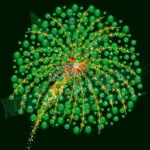 GREEN SHOWER 2.5" COMETS FANCY CRACKERS