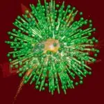 MUST MUST 3 1/4" COMETS FANCY CRACKERS