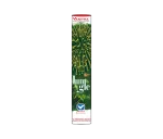 6" FANCY JUNGLE PARTY - VANITHA - Image 2